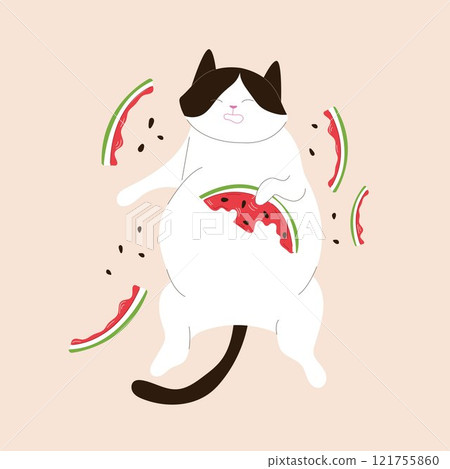 Tuxedo cat eat watermelon and is lying on his back surrounded by watermelon rinds and seeds in flat style. Summer design for postcard, banner and cloth. Tuxedo cat eat watermelon and is lying on his back surrounded by watermelon rinds and seeds in flat style. Summer design for postcard, banner and cloth. 121755860