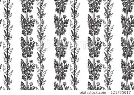 Black and white botanical plants and flowers vector illustration. Abstract seamless pattern. Repeating line art floral print. Graphic design for Wedding Greeting invitation Cover Wrapping pack Textile 121755917
