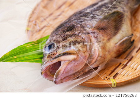 黑井上籃 121756268