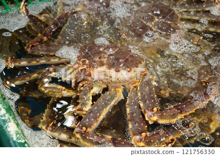 King crab King crab 121756330