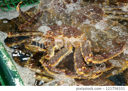 King crab 121756331