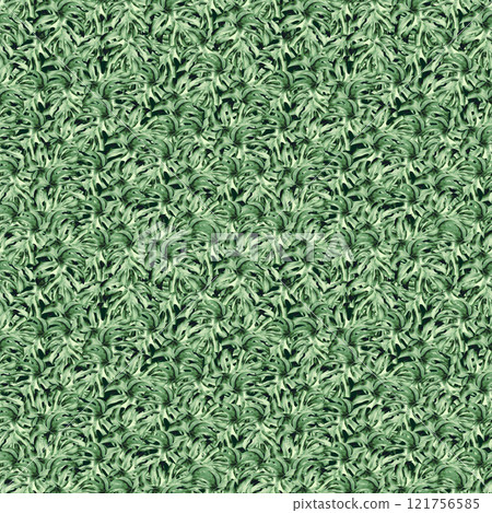 Watercolor illustration of monstera. Botanical seamless paved pattern of green plant leaves, hand drawn. Houseplant of green color, on isolated background. Drawing for photo wallpaper, scrapbooking 121756585