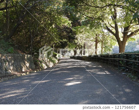 鄰里公園 121756607