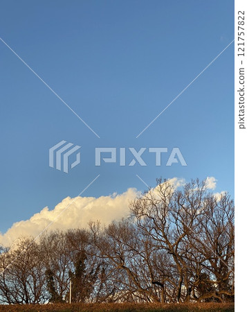 Winter sky Winter sky 121757822