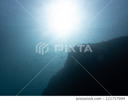 水下景觀 水下景觀 121757994