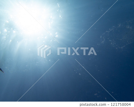 Underwater landscape Underwater landscape 121758004