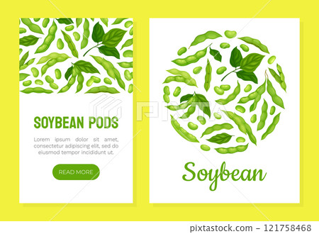 Green Soybean Pod Natural Organic Crop Banner Design Vector Template 121758468