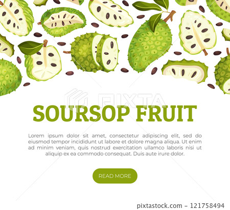 Soursop Fruit or Guanabana Banner Design Vector Template Soursop Fruit or Guanabana Banner Design Vector Template 121758494