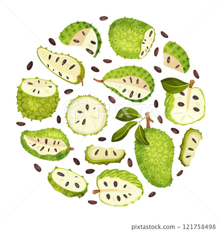 Soursop Fruit or Guanabana Round Composition Vector Template Soursop Fruit or Guanabana Round Composition Vector Template 121758498