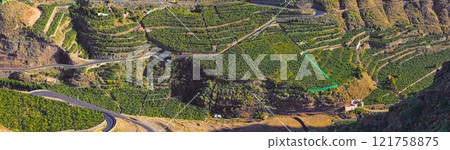Above of an agricultural landscape in summer . Aerial view of a farm with lush green grass and banana plantations in Los Llanos, La Palma, Spain. Peaceful farmland with calming, soothing scenic views 121758875
