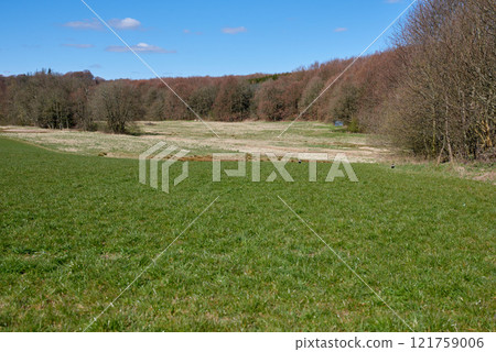 Copyspace and beautiful scenic summer landscape of grassy meadows and trees with a cloudy blue sky. Field with green grass during Autumn. View of remote grassland in the countryside in Denmark Copyspace and beautiful scenic summer landscape of grassy meadows and trees with a cloudy blue sky. Field with green grass during Autumn. View of remote grassland in the countryside in Denmark 121759006