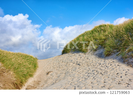 Closeup of a sand path with lush green grass growing on a beach with cloudy copy space. Beautiful blue sky on a warm and sunny summer day over a dry and sandy dune situated on a coastline bay area Closeup of a sand path with lush green grass growing on a beach with cloudy copy space. Beautiful blue sky on a warm and sunny summer day over a dry and sandy dune situated on a coastline bay area 121759063