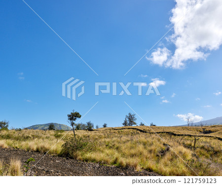 A vast expanse of nature and blue sky near a summit of volcanic land, copy space. The landscape of rough terrain on the Island of Hawaii. Scenic view of Mauna Kea, a dormant volcano in a remote area 121759123