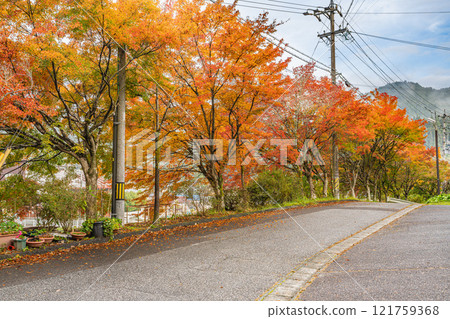 豐田市（愛知縣）大平公園的紅葉路風景 121759368