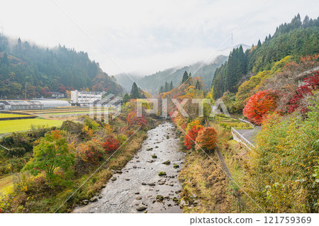 Autumn foliage at Oihira Park in Toyota City (Aichi Prefecture) 121759369