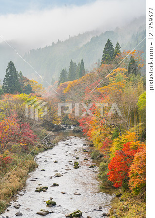 Autumn leaves shrouded in mist at Oihira Park in Toyota City (Aichi Prefecture) 121759372