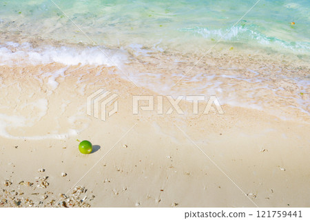 Okinawa beach fruits on the shore 121759441