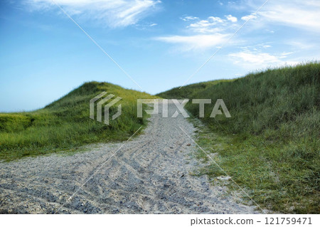 Closeup of a sand path with lush green grass growing on a beach with cloudy copy space. Beautiful blue sky on a warm and sunny summer day over a dry and sandy dune situated on a coastline bay area Closeup of a sand path with lush green grass growing on a beach with cloudy copy space. Beautiful blue sky on a warm and sunny summer day over a dry and sandy dune situated on a coastline bay area 121759471
