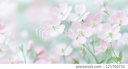 Soft pastel pink blossoms in a dreamy spring garden landscape, AI Generative 121760732
