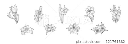 Blooming Flower and Lush Garden Flora Line Vector Set Blooming Flower and Lush Garden Flora Line Vector Set 121761882