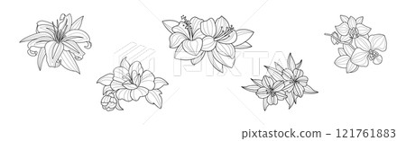 Blooming Flower and Lush Garden Flora Line Vector Set Blooming Flower and Lush Garden Flora Line Vector Set 121761883