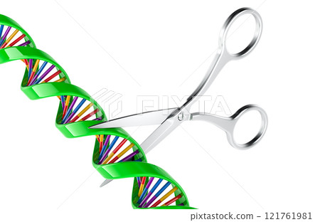 Scissors cutting of DNA spiral. Genome editing concept. Innovative method of treating hereditary diseases. Creation of genetically modified organisms. 3D rendering Scissors cutting of DNA spiral. Genome editing concept. Innovative method of treating hereditary diseases. Creation of genetically modified organisms. 3D rendering 121761981