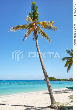 Beautiful beach with coconut trees on Malapascua Island, Philippines. 121762257