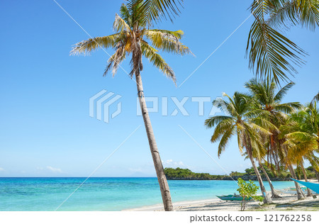 Beautiful beach with coconut trees on Malapascua Island, Philippines. Beautiful beach with coconut trees on Malapascua Island, Philippines. 121762258