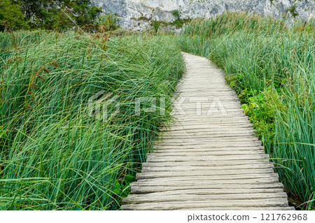 Wooden boardwalk hiking trail between long, thin, green swamp grass in nature park, perspective view 121762968