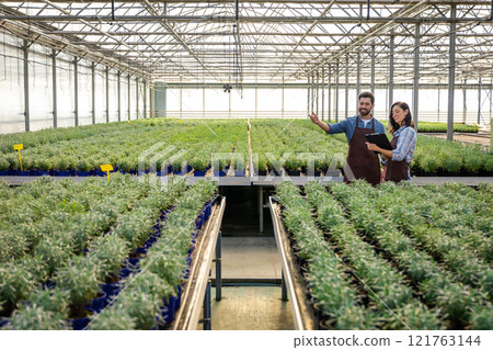 Man and woman working in greenhouse and discussing something 121763144