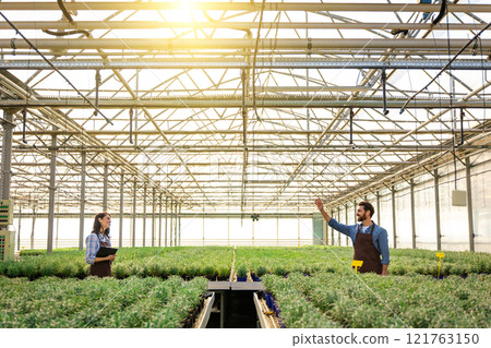 Colleagues working in a greenhouse full of plants 121763150