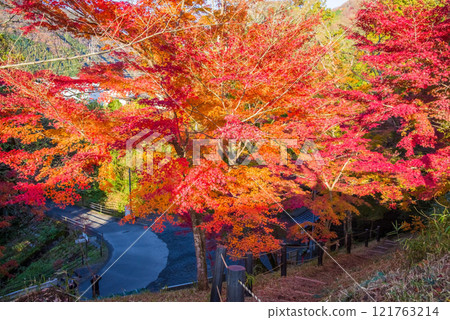 「紅葉谷」的紅葉（三重郡四日市市水澤町宮昴） 121763214