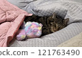 Cat sleeping on futon 121763490