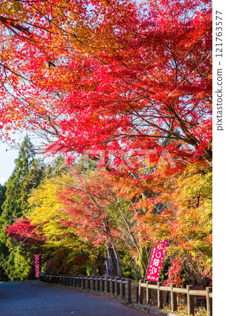 Autumn leaves in "Momiji Valley" (Mizusawa Town, Yokkaichi City, Mie Prefecture) Autumn leaves in "Momiji Valley" (Mizusawa Town, Yokkaichi City, Mie Prefecture) 121763577