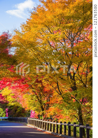 Autumn leaves in "Momiji Valley" (Mizusawa Town, Yokkaichi City, Mie Prefecture) Autumn leaves in "Momiji Valley" (Mizusawa Town, Yokkaichi City, Mie Prefecture) 121763580