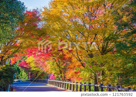 「紅葉谷」的紅葉（三重郡四日市市水澤町） 121763592