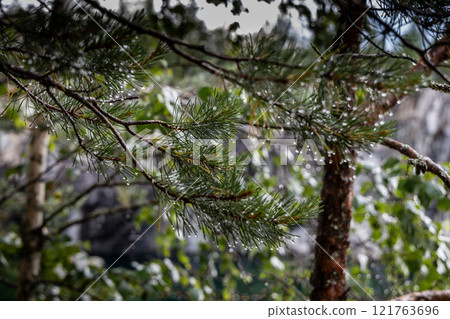 Landscape of the mountain park Ruskeala in the Republic of Karelia Landscape of the mountain park Ruskeala in the Republic of Karelia 121763696