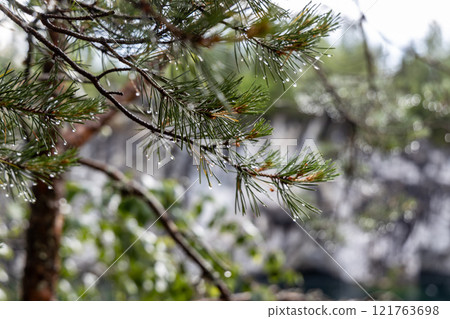 Landscape of the mountain park Ruskeala in the Republic of Karelia Landscape of the mountain park Ruskeala in the Republic of Karelia 121763698