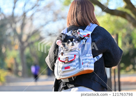 高級狗和狗背包裡的女人，長外套奇瓦瓦，高級 121763798