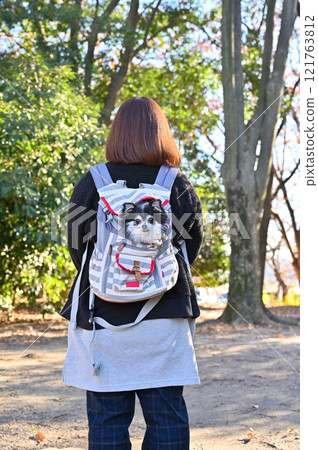 Woman and puppy in dog backpack, long-coated chihuahua Woman and puppy in dog backpack, long-coated chihuahua 121763812