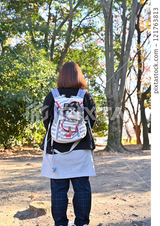 Woman and puppy in dog backpack, long-coated chihuahua 121763813