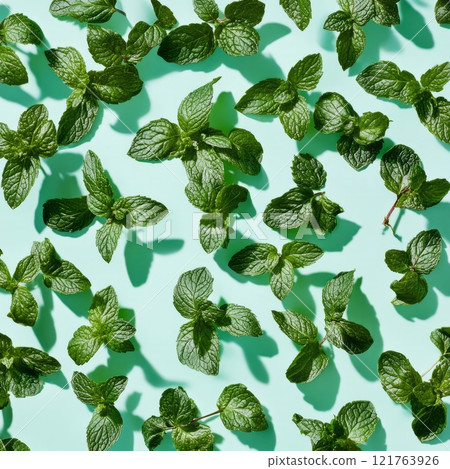 background with mint flowers background with mint flowers 121763926