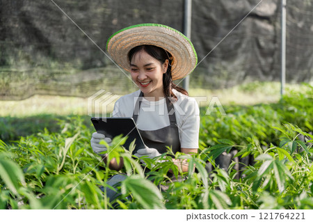 Young Woman Using Modern Technology to Cultivate Herbal Garden with Innovative Techniques and Sustainable Practices 121764221