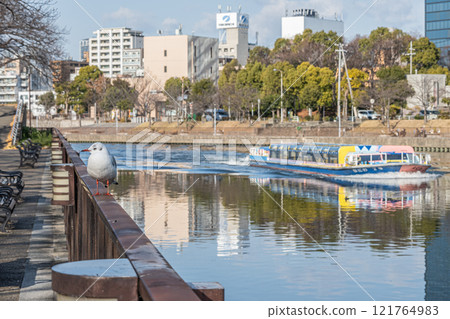 沿著寢屋川的 Aqualiner 與黑頭鷗 大阪城公園 121764983
