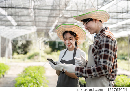 Modern Farmer Couple Gardening Herbs and Cannabis in a Greenhouse Setting with Sustainable Practices 121765054