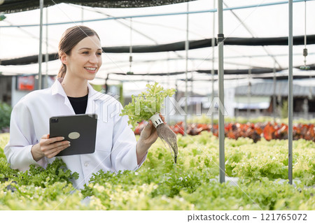 Agricultural Researchers Engaged in Innovative Horticultural Research in a Modern Greenhouse Setting 121765072
