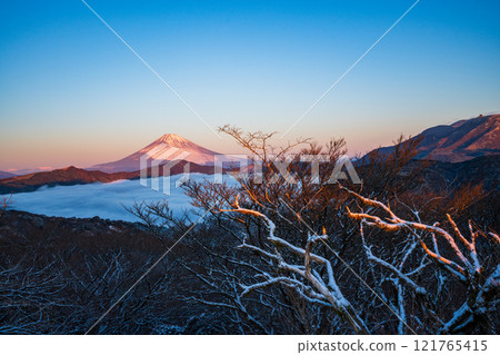 [Kanagawa Prefecture] Snowfall in Hakone, the sea of clouds over Lake Ashi and Mt. Fuji at dawn 121765415