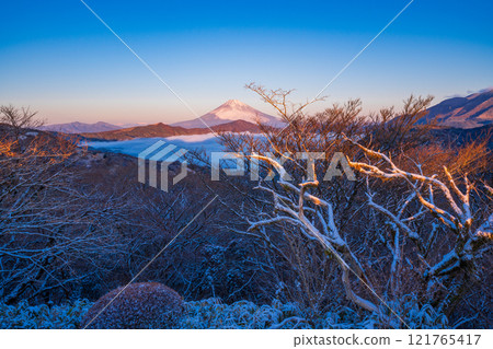 [Kanagawa Prefecture] Snowfall in Hakone, the sea of clouds over Lake Ashi and Mt. Fuji at dawn 121765417