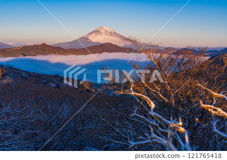 [Kanagawa Prefecture] Snowfall in Hakone, the sea of clouds over Lake Ashi and Mt. Fuji at dawn 121765418