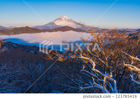 [Kanagawa Prefecture] Snowfall in Hakone, the sea of clouds over Lake Ashi and Mt. Fuji at dawn 121765419